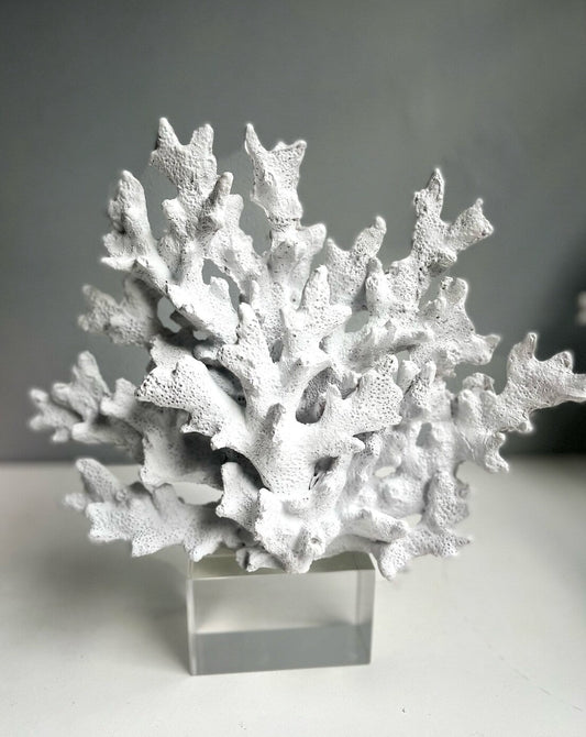 White Decorative Crystalline Coral Reef, Coral Decor, Coral Stone Sculpture, Luxury Home Decor Objects, Coral Stone Shelf Decor ,Crystal,Polyester,Classic Coral Objects, MLH001/17