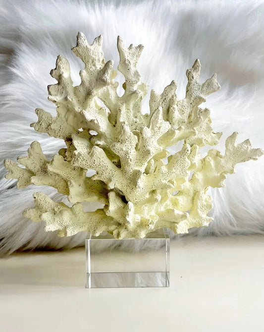 of White Decorative Crystalline Coral Reef, Coral Decor, Coral Stone Sculpture, Luxury Home Decor Objects, Coral Stone Shelf Decor ,Crystal,Polyester,Classic Coral Objects, MLH001/5