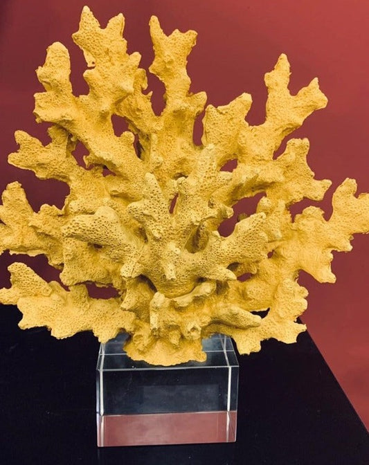 Mustard Color Decorative Crystalline Coral Reef, Coral Decor, Coral Stone Sculpture, Luxury Home Decor Objects, Coral Stone Shelf Decor ,Crystal,Polyester,Classic Coral Objects, MLH001/14